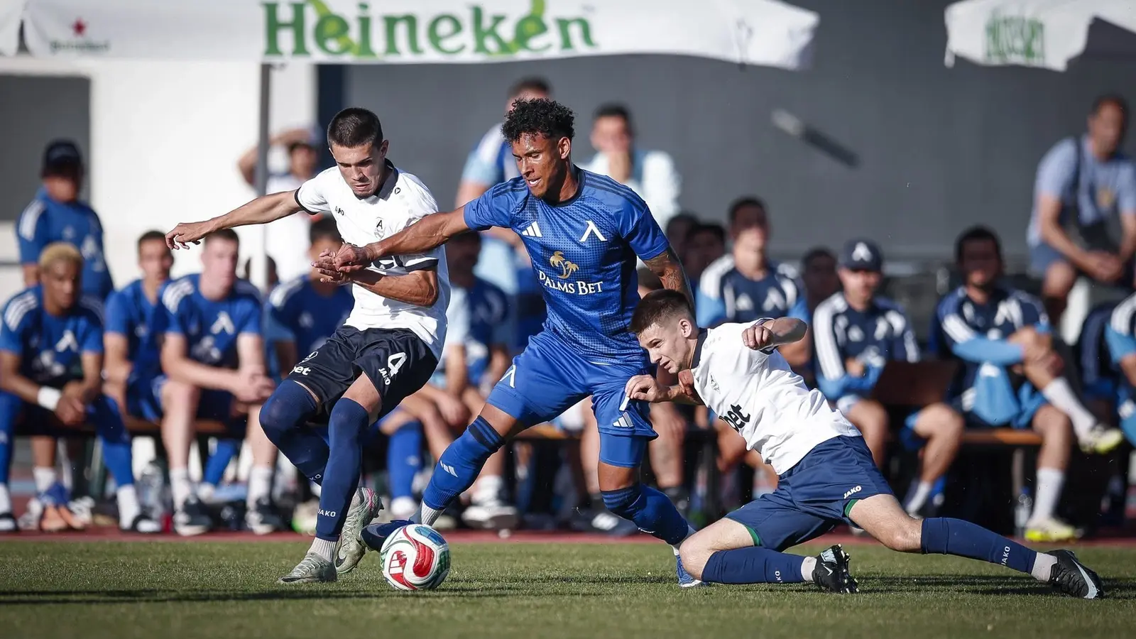 Levski vs Borac Banja Luka - Ponturi pariuri Preliminarii Champions League - 14.07.2026