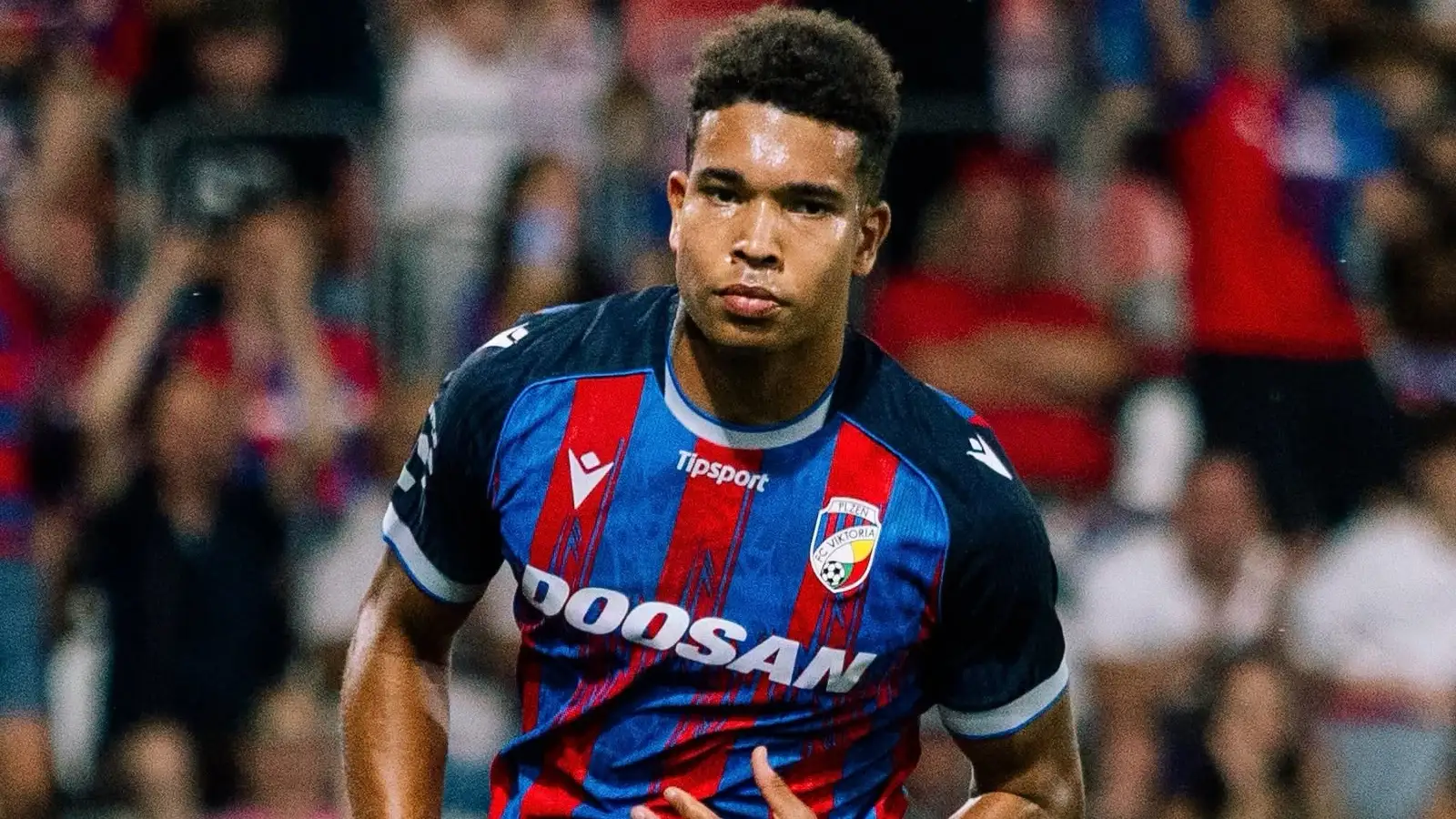 Steaua Rosie vs Viktoria Plzen, 20 august 2026, Ponturi Pariuri Play-off Europa League