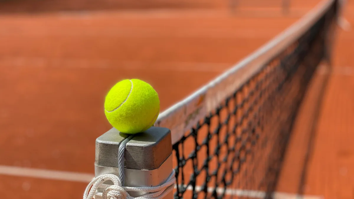 Donna Vekic vs Xinyu Wang - Ponturi Pariuri WTA Singapore Open 22 septembrie 2026