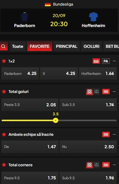 Cote pariuri Paderborn vs Hoffenheim