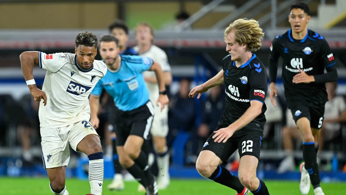 Hoffenheim vs Hamburger SV - Ponturi pariuri Bundesliga - 10.10.2026