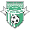 Dukagjini