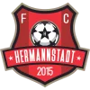 FC Hermannstadt