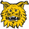 Ilves