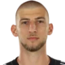 Lukic J.